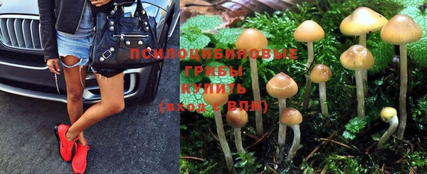 гашиш Нея